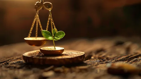 Lebensversicherung vs. Sachversicherung: 2 Kernunterschiede