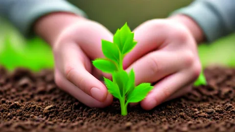 Life vs P&C Insurance: 2 Key Differences You Must Know