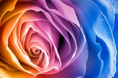 Premium vs Coverage: 2 Key Concepts to Protect Your Finances