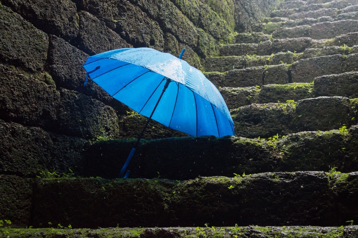 Een paraplu die bescherming biedt tegen de regen, symbool voor de verzekeringsdekking.